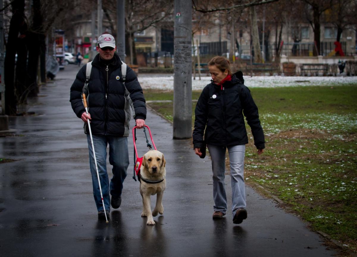 Boltba is, étterembe is