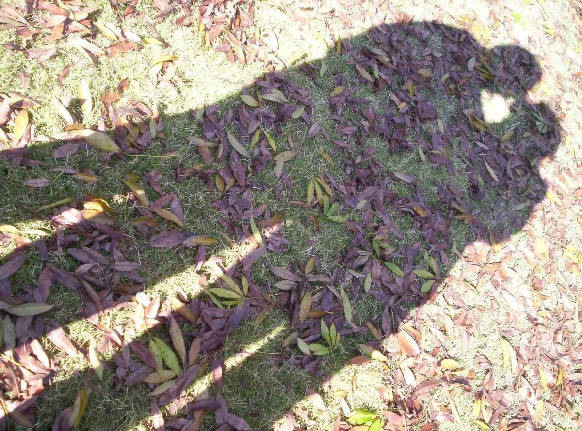 A reinkarnációtól a halántéklebenyig - avagy a déjà vu keletkezése