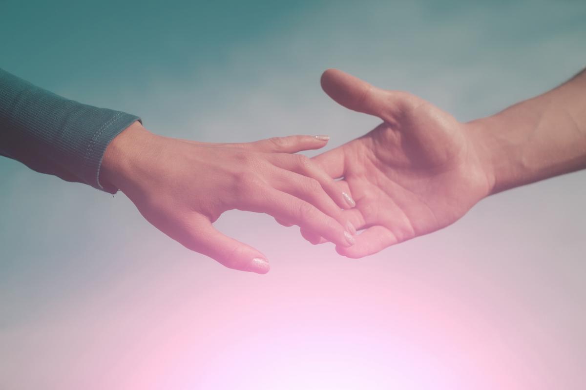 Magyar kutatási eredmény a Current Biology és a Nature szaklapokban