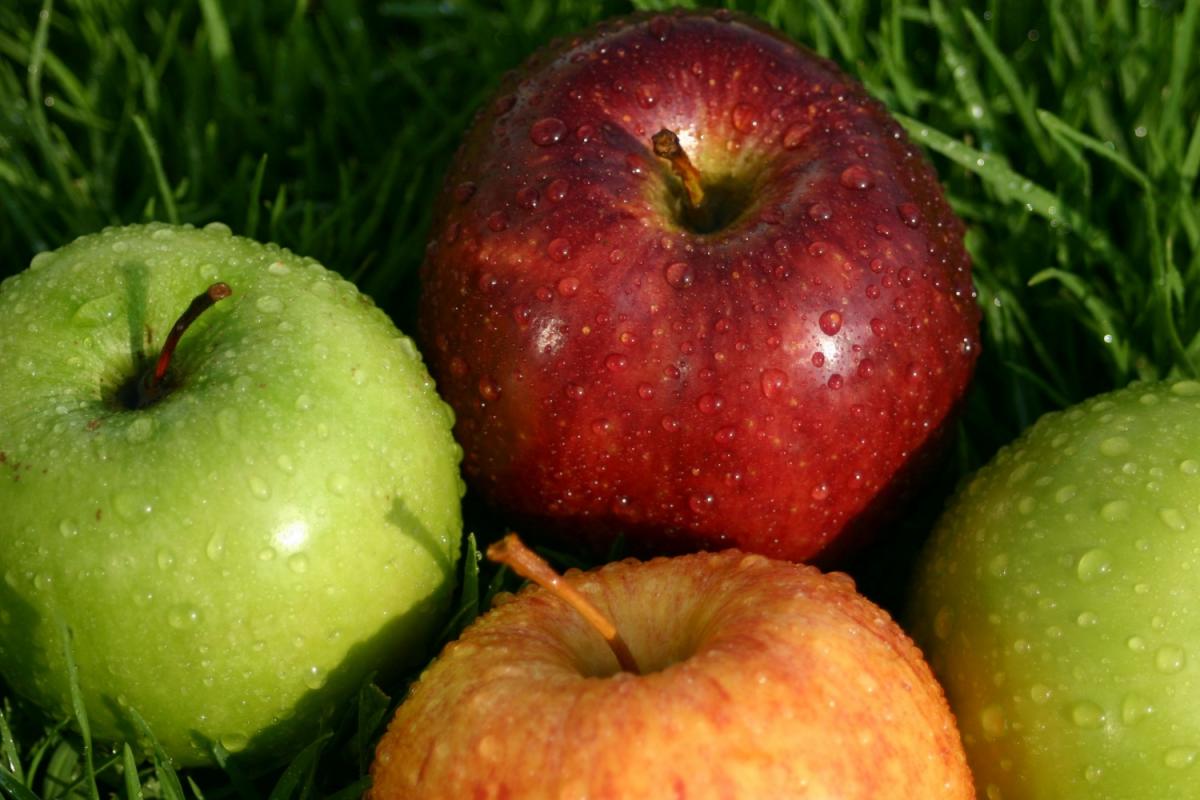 Vásárlás előtt egyen almát!