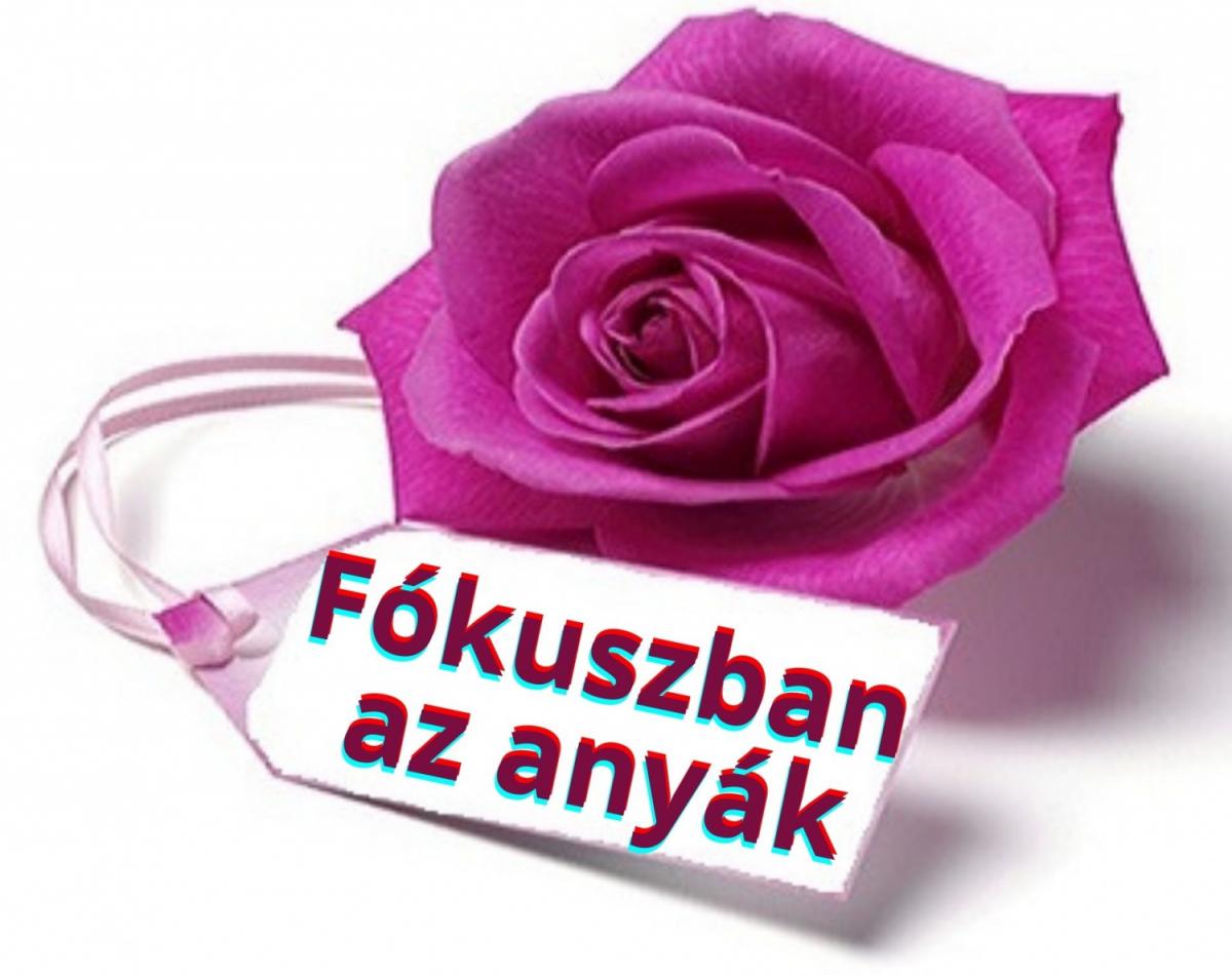 Fókuszban az anyák – Az édesanyák hónapja