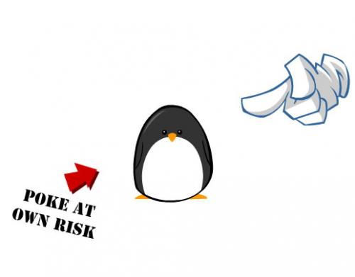 A csöndes mosoly titka