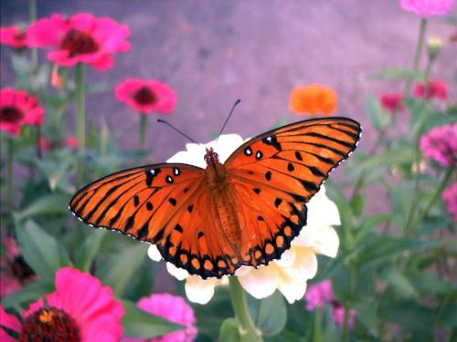 A világegyetem titka a szeretetben 