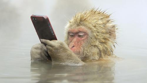 Túlzott önfeltárás a Facebookon