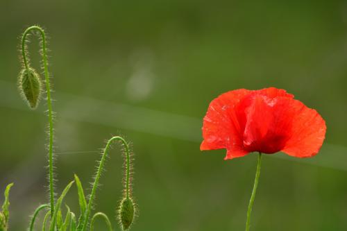 Önmagunkba zártság