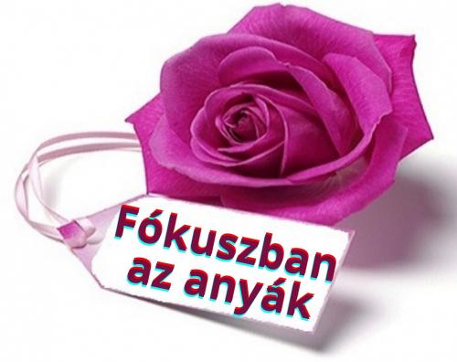 Fókuszban az anyák – Az édesanyák hónapja