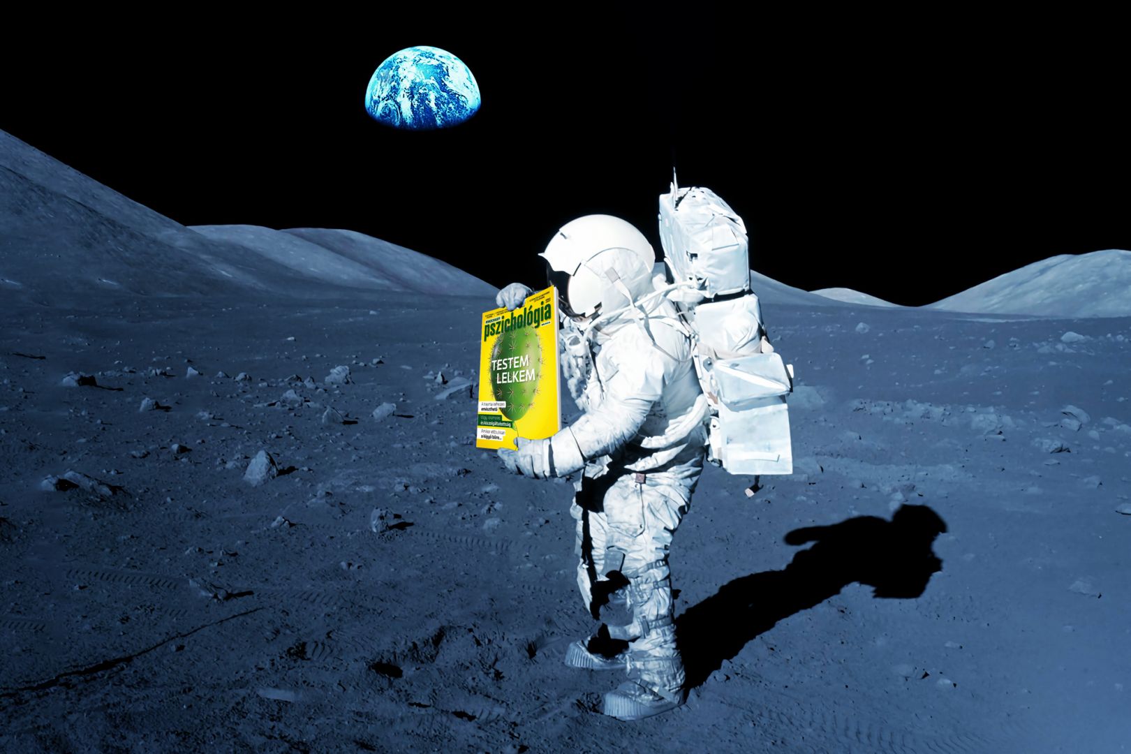 Üdvözöljük a MiPszi online felületén!