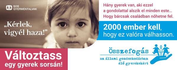 Fogadj be egy árvácskát!