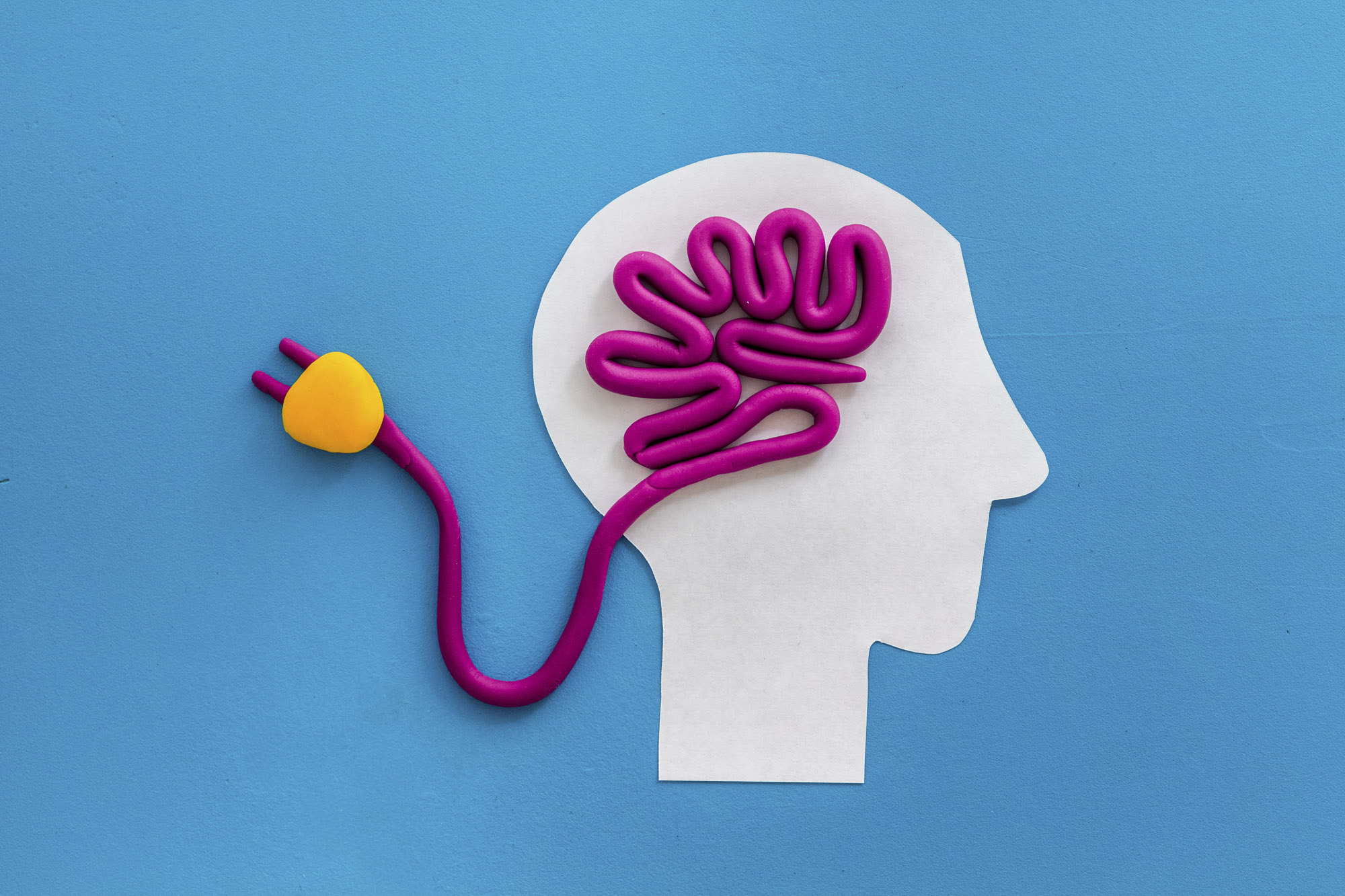 A MAGYAR TUDOMÁNY ÜNNEPE