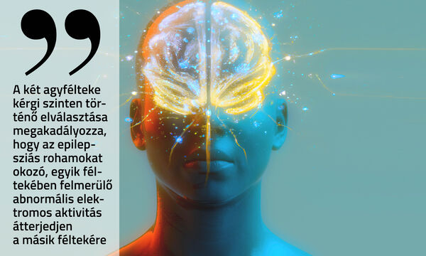Az agyhasítás-kutatás jelentősége