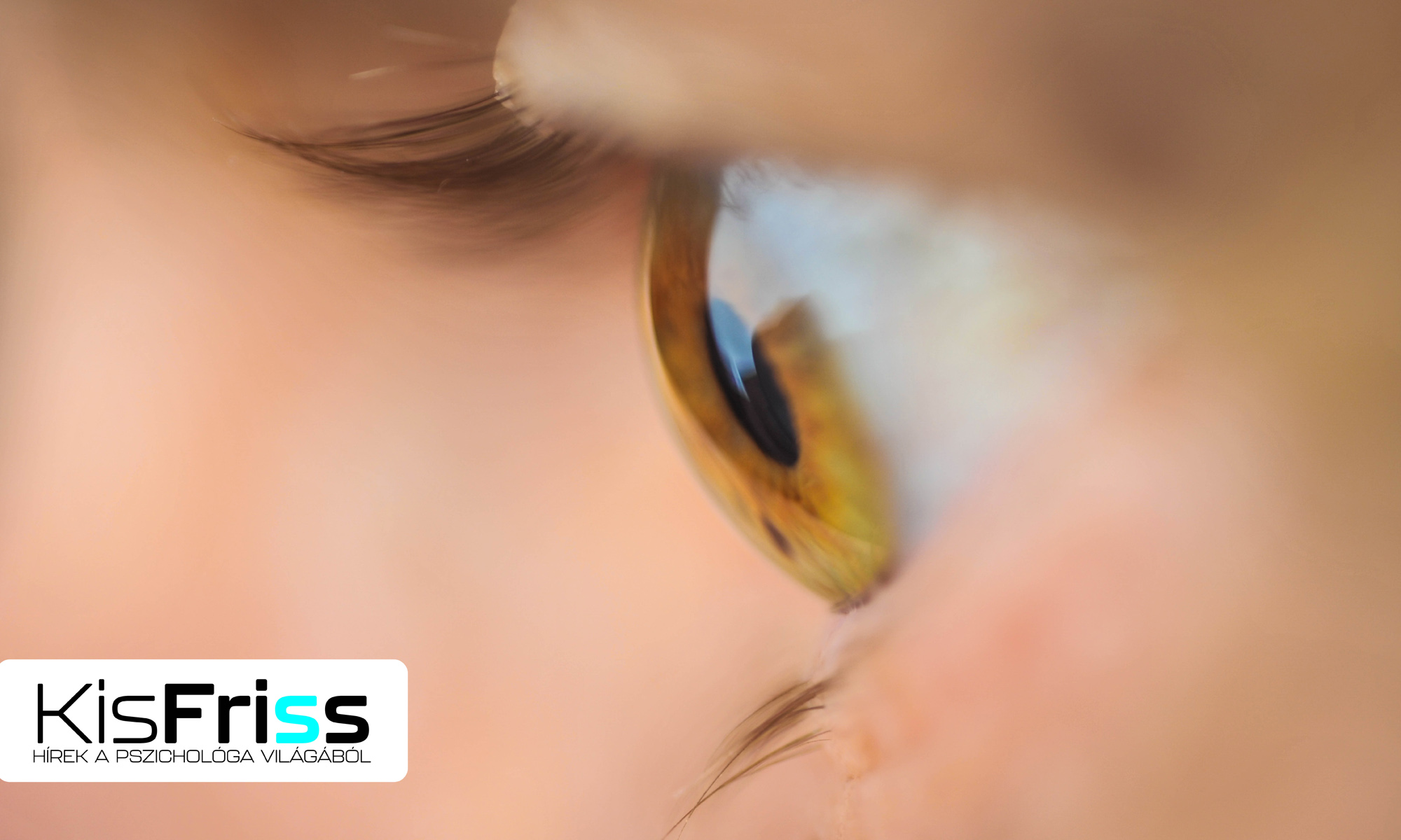 Kvízműsorok a kognitív kutatásokban