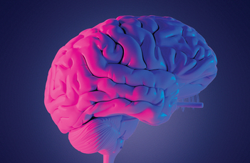 Agykutatás hete 2024