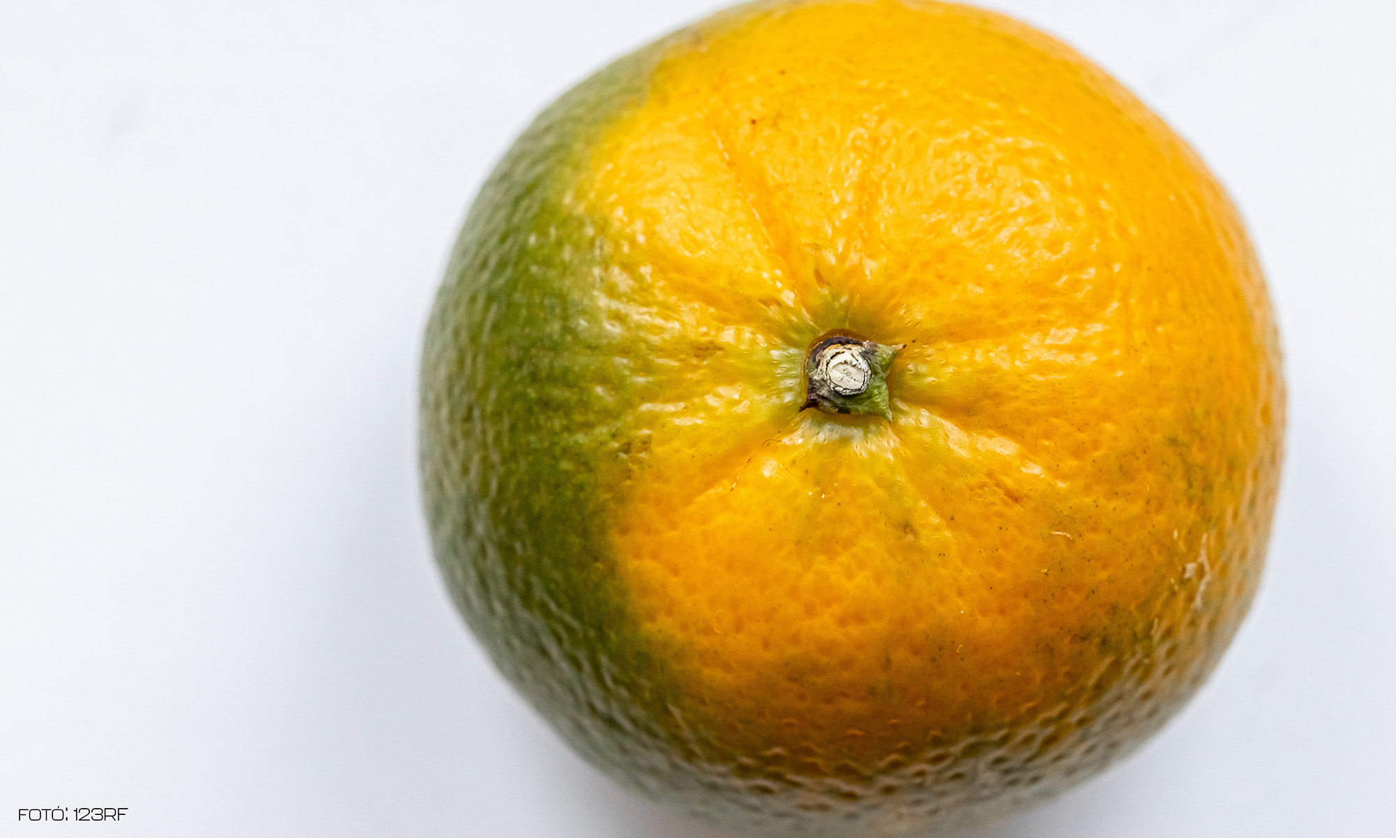 Konfettiillúzió a boltokban