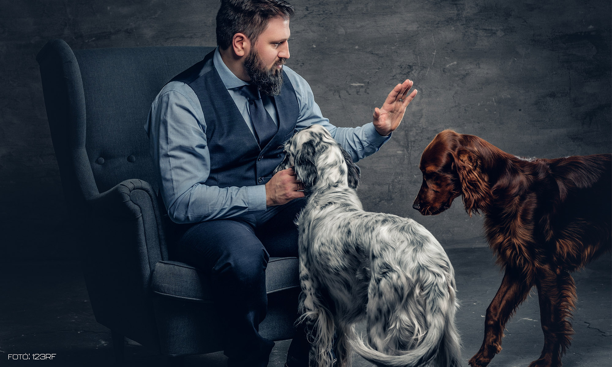 Hogyan beszéljünk a kutyánkhoz?