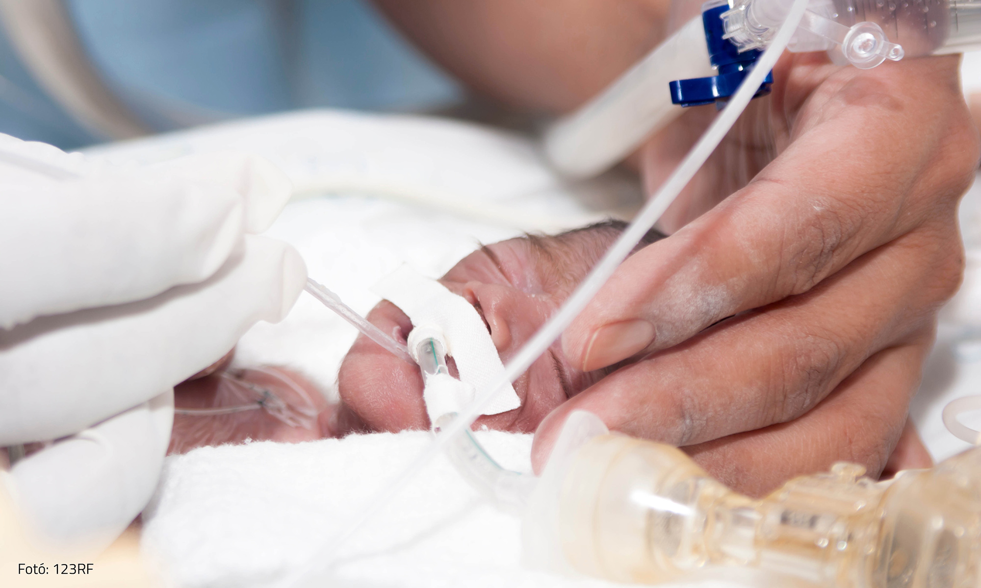 A neuromítoszoktól a tényekig