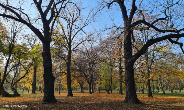 Fantázia sötétségre és fényre