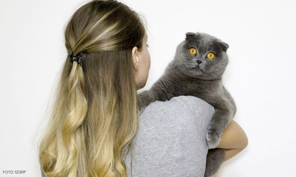 Ragaszkodó macskák