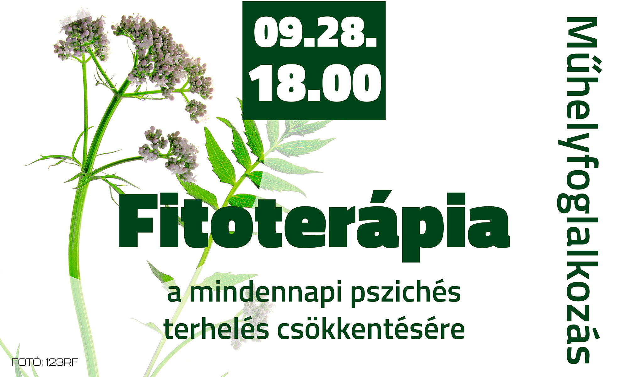 FITOTERÁPIA A MINDENNAPI PSZICHÉS TERHELÉS CSÖKKENTÉSÉRE
