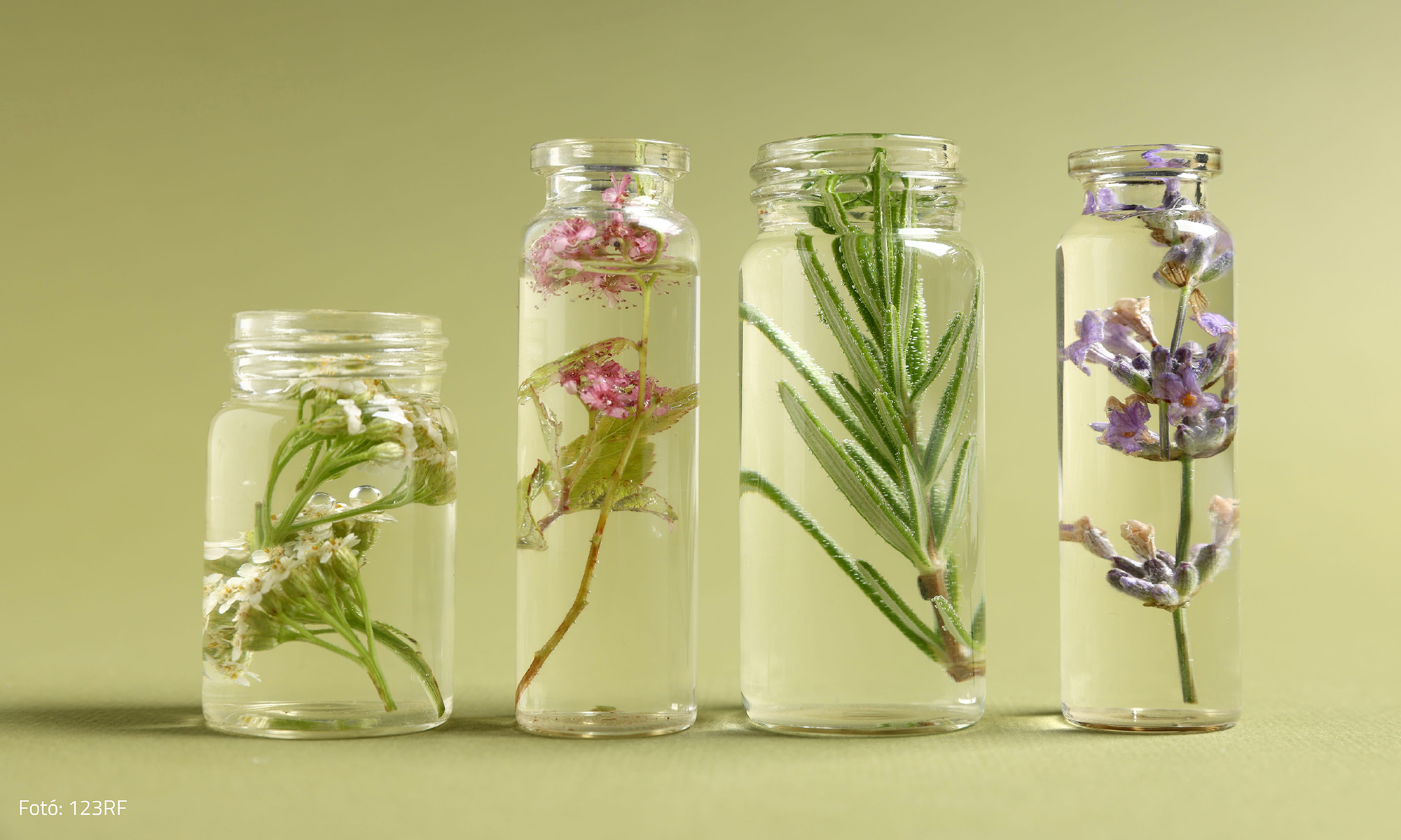Hogyan hat a gyógynövények illata és az aromaterápia?